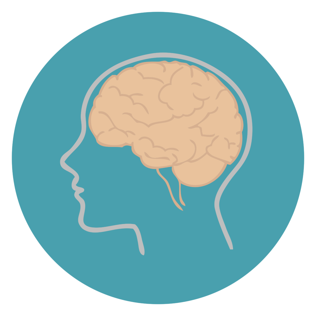 Illustration of a side-profile of a human brain